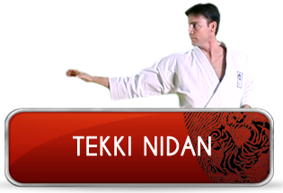 tekki_nidan_logo