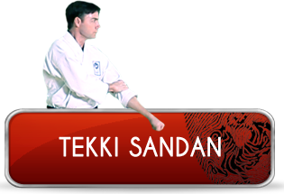 tekki_sandan_logo