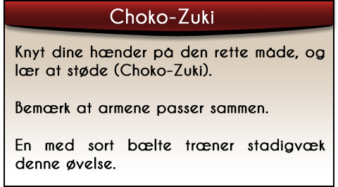 choko-zuki-tekst