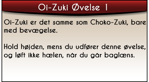 oi-zuki-ovelse1-tekst