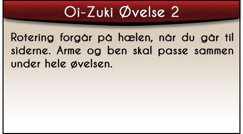 oi-zuki-ovelse2