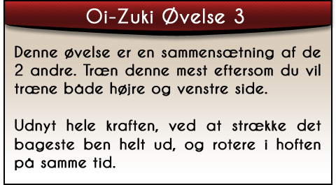 oi-zuki-ovelse3-tekst