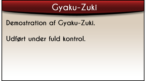 introduktion-gyaku-zuki_tekst