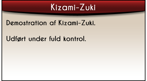 kizami-zuki-demostration-tekst-2