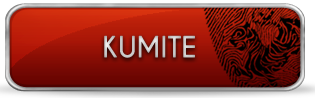 kumite
