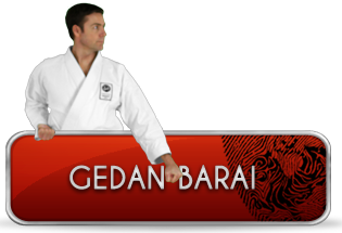 gedan-barai