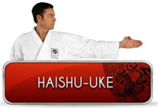 haishu-uke