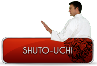 shuto-uchi-knap