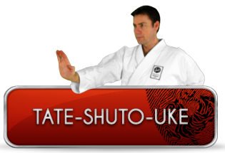 tate-shuto-uke